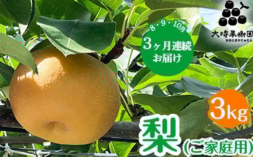 【定期便】梨(品種お任せ)  3kg箱(家庭用) | 栃木県 宇都宮市 梨 なし 果物 フルーツ 秋 旬 にっこり梨 3kg 家庭用 ※離島への配送不可 ※2025年8月から順次発送予定