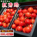 【ふるさと納税】《先行予約》 さくらんぼ 「 紅秀峰 」600g (300g×2パック) 秀品 2L以上 【2025年6月中旬頃〜7月上旬頃発送予定】 ／ お取り寄せ フルーツ 果物 果実 ご当地 グルメ 特産 産地 直送 高級 贈答 東北 300グラム 600グラム 2025年産 令和7年産 山形県産