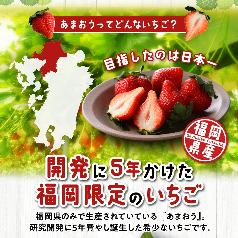 先行予約！『いちごの定期便』福岡県産　あまおう　合計約1680g（約280 g×2パックを2月3月4月の3回）　 2026年2月より順次発送_いちご 先行予約 定期便 3回 あまおう 約280g × 