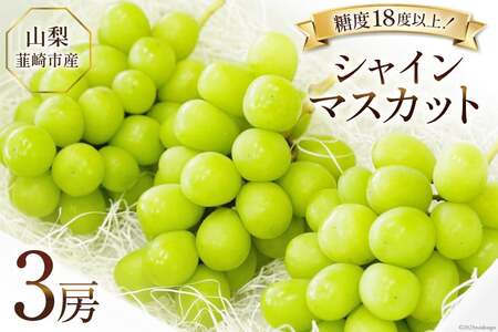 【2026年発送】ぶどう シャインマスカット 予約 約 500g 3房 計約 1.5kg [Inakakara 山梨県 韮崎市 20745257]