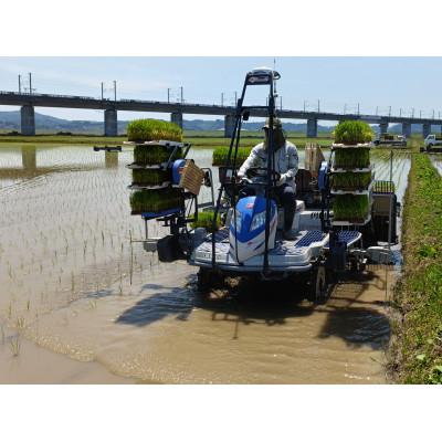 ふるさと納税 一関市 有機JAS認証 栽培期間中農薬・肥料不使用栽培　ササニシキ5kg |  | 01