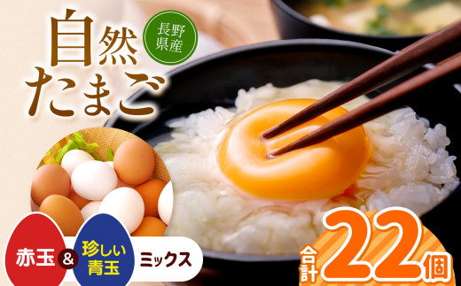 しばた養鶏のたまご 10玉×1パック・6玉×2パック | 卵 たまご しばた養鶏 生卵 長野県 塩尻市