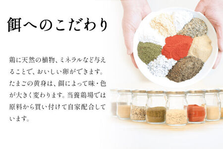 《定期便9ヶ月》 たまごの樹 純国産鶏種 卵『さくら』76個+割れ保証4個付き（10個入×8パック）