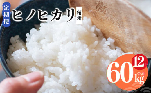 【 定期便 12回 】奈良県産 ヒノヒカリ 精米 5kg （ 計60kg ） | コメ 米 こめ 精米 ひのひかり　もちもち　奈良県 五條市