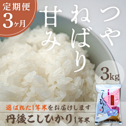 【定期便3回】令和8年産 丹後こしひかり 3kg×3ヵ月 1等米 お米 コメ こめ 丹後 コシヒカリ 精米 ふるさと 納税 コシヒカリ 精米 ふるさと 納税 こしひかり 精米 ふるさと 納税 米 送料無料