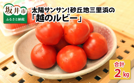 【先行予約】太陽サンサン砂丘地三里浜の 越のルビー 約2kg 【2025年9月下旬以降順次発送予定】 [A-8301]