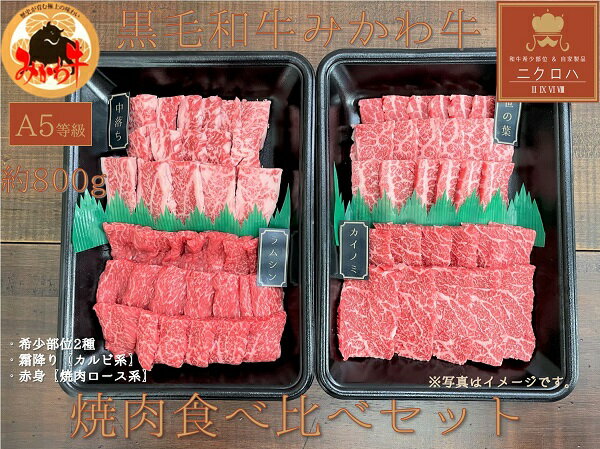 【ふるさと納税】黒毛和牛みかわ牛A5等級 食べ比べ焼肉セット たっぷり 1kg（希少部位2種：霜降り、赤身） 牛肉 肉 焼き肉 焼肉 愛知県 豊橋市