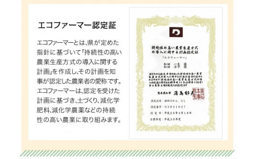 『松田農園』のみかんたっぷり約5kg (S-2Lサイズ)《11月上旬-1月下旬頃出荷》 手間暇かけたこだわりのミカン---sg_mtdmikan_ak111_r7_12500_5kg---