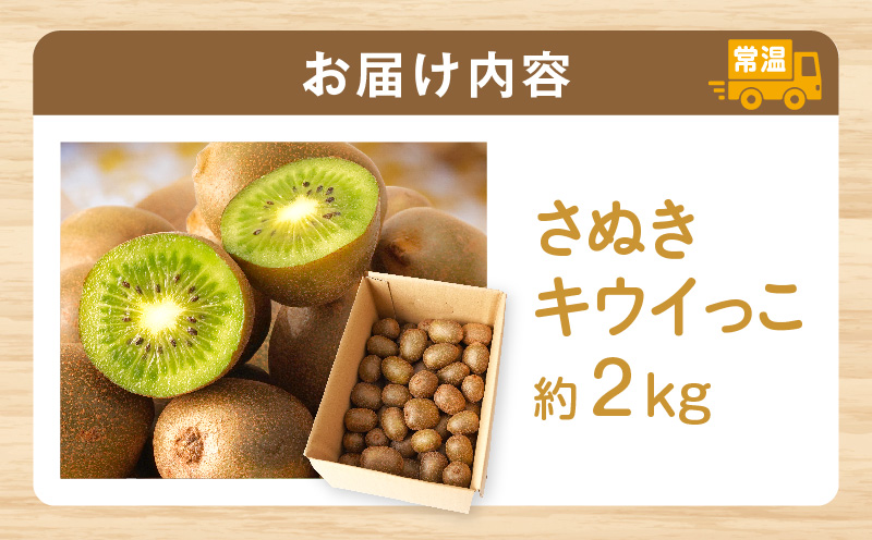 【先行受付】香川県オリジナルキウイフルーツ「さぬきキウイっこ」約2kg【香川県共通返礼品】 | キウイ キウイフルーツ 果物 フルーツ 青果 青果物 さぬきキウイっこ 果実 贈答 贈り物 ギフト 甘い
