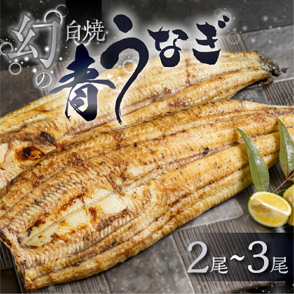 【ふるさと納税】幻の青 うなぎ 白焼 高評価★4.72 選べる尾数 2尾 〜 3尾 タレ付き 山椒付き 厳選 青鰻 ウナギ うなぎ 鰻 白焼き 最高級 ひつまぶし 土用丑の日 ギフト 冷凍 増量 丑の日 簡単調理 父の日 こだわり 人気 unagi お取り寄せ