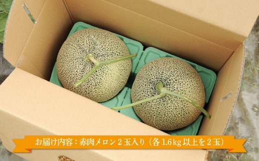 《2027年分受付中》≪数量限定！≫のみやまファームの赤肉メロン「美暁」（各1.6kg以上を2玉）