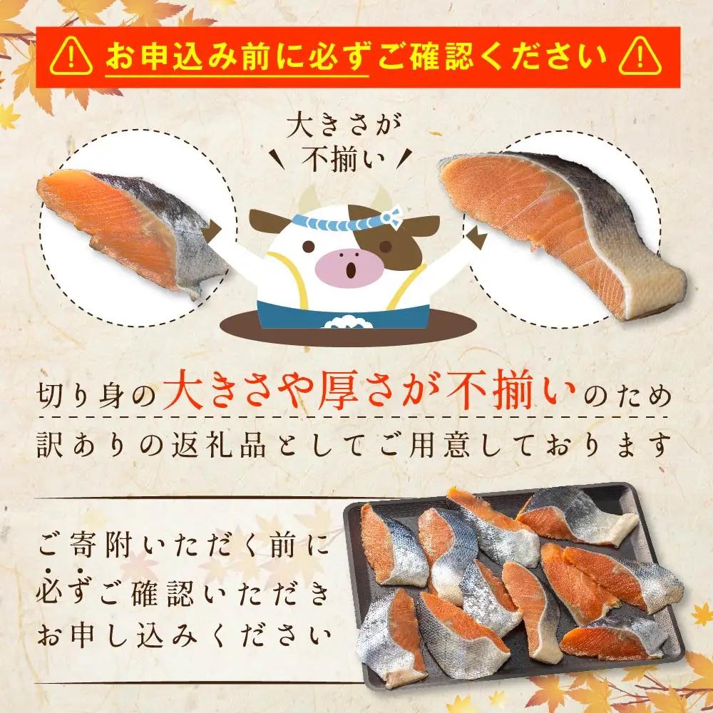 【訳あり】「秋鮭の切り身（無塩）」2.8kg 【BT000SG01】鮭 切り身 北海道