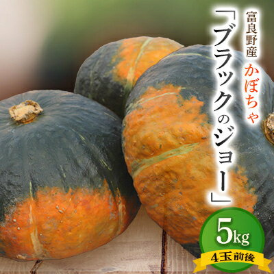 【ふるさと納税】【先行予約】北海道 富良野市産 かぼちゃ「ブラックのジョー」 5kg【2025年10月上旬より発送】【1301344】