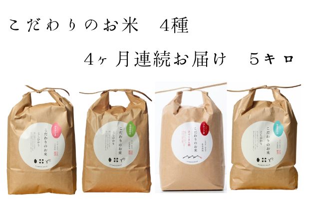 【ふるさと納税】【4カ月連続でお届け】北本農場 「こだわりのお米」 令和6年度産　精米 5kg コシヒカリ 4ヶ月 4回 　お届け：2025年9月下旬から発送開始