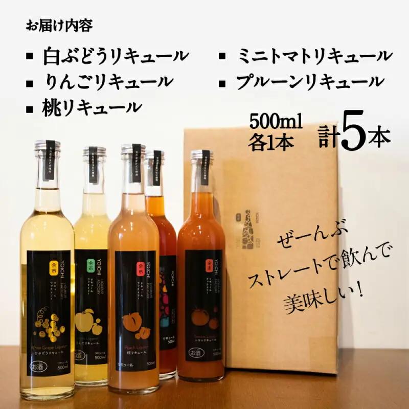 余市リキュールファクトリー　果物リキュール　5本セット_Y069-0002