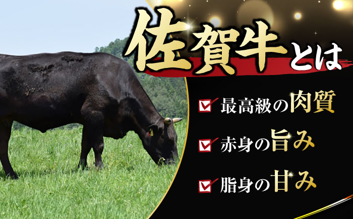 艶さし ！ 佐賀牛 サーロインステーキ 1kg （ 250g ×4枚）吉野ヶ里町 [FDB011]