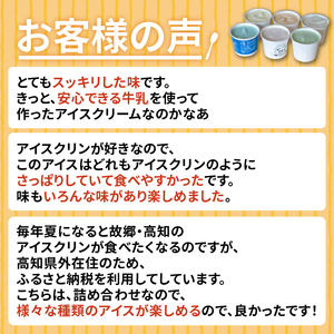 高知 名物 アイスクリン ふるさとの味アイス 24個セット ( ゆず 文旦 甘酒 ミルク いちごミルク 生姜 バニラ 抹茶 いちご チョコ ソーダ 人気 カップ スイーツ バラエティ おやつ 詰め合わ