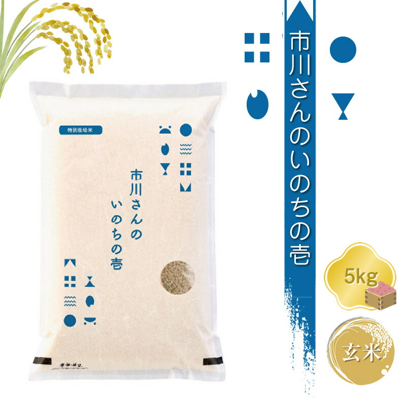 【ふるさと納税】【令和6年産】特別栽培米 市川さんのいのちの壱 【玄米5kg】 コメ 信州 希少 おいしい ごはん【 米 コメ 備蓄品 備蓄米 長野県 佐久市 株式会社ゆうき 】