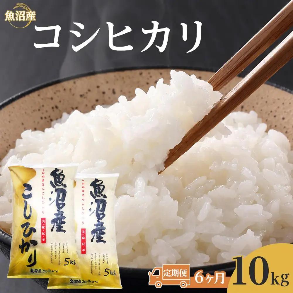 【6回】令和７年産魚沼産コシヒカリ　10kg　1回目は注文確認後1週間以内に発送｜新潟県　魚沼　こしひかり　令和7年産
