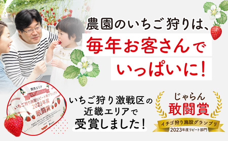 いちご農家の贅沢いちごづくしアイスキャンデー8本セット（いちご・いちごミルク）  A-B28  湖東こぐま農園