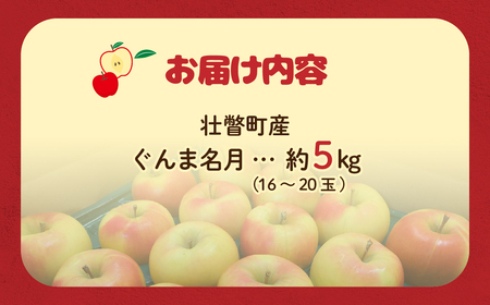 ファームアグリエイトのりんご「ぐんま名月」 約5kg（16～20玉） SBTB014