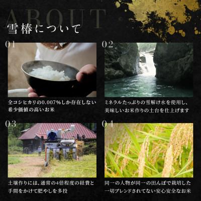 ふるさと納税 津南町 令和7年産【雪椿】白米10kg |  | 02