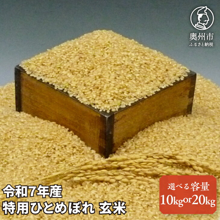 【ふるさと納税】 数量限定 令和7年産 岩手県奥州市産 特用ひとめぼれ 玄米 選べる内容量 10kg ／ 20kg 生活応援 緊急支援 【7日以内発送】 おこめ ごはん ブランド米 [AC039]