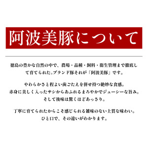 豚まん 国産 ブランド豚 阿波美豚 100% 使用 とくしまん 20個 冷凍 小分け 肉まん 豚まん