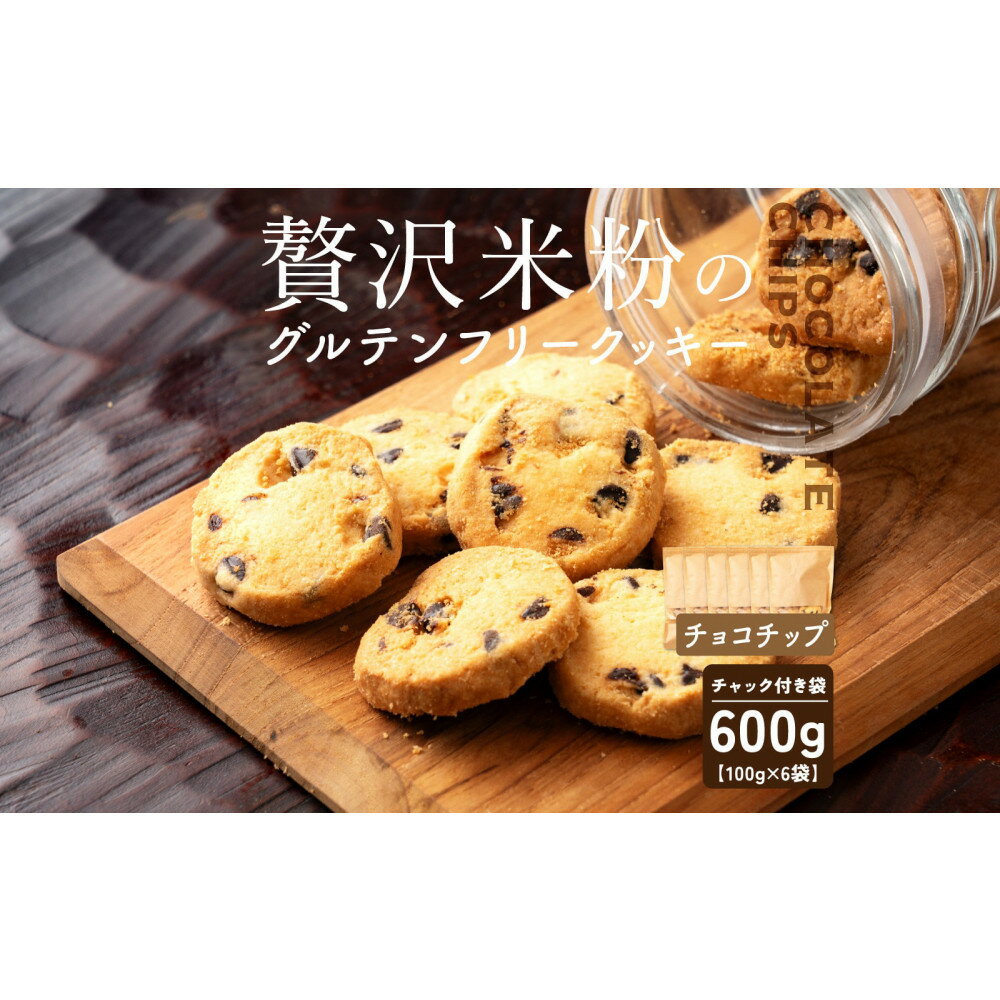 【ふるさと納税】贅沢米粉のクッキー チョコチップ 600g(100g×6袋)