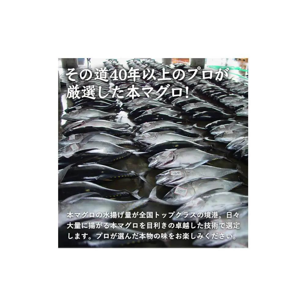 天然本マグロ(黒マグロ)　中トロ300～400g