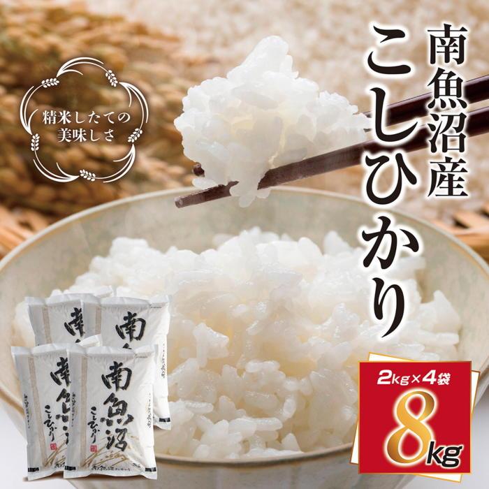 【ふるさと納税】新潟県 南魚沼産 コシヒカリ こしひかり お米 2kg ×4個 計8kg 精米 魚沼 米 炊き方ガイド付き | お米 こめ 白米 コシヒカリ 食品 人気 おすすめ 送料無料 魚沼 南魚沼 南魚沼市 新潟県産 新潟県 精米 産直 産地直送 お取り寄せ