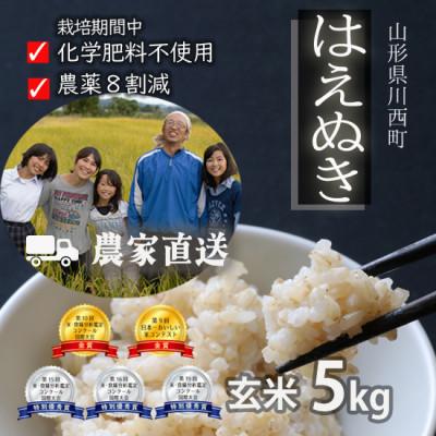 ふるさと納税 川西町 令和7年産 コンクール受賞農家直送 山形県産はえぬき5kg 玄米【浦田農園 むすび米】