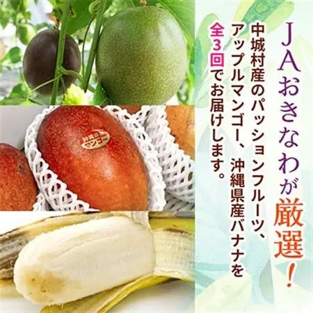 【発送月固定定期便】JAおきなわ厳選フルーツセット(パッションフルーツ・マンゴー・島バナナ)全3回【配送不可地域：離島】【4079615】
