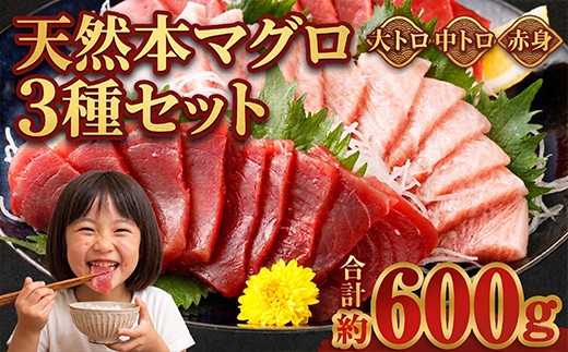 厳選 天然 本マグロ セット【 大トロ 中トロ 赤身 】６００ｇ以上 本まぐろ 100% 冷凍 刺身 海鮮 丼 さく 柵 ブロック