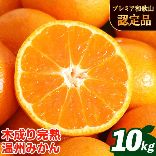 【ふるさと納税】【先行予約】濃厚完熟 木成り温州みかん 10kg ミックスサイズ 和歌山県産 まるまつ農園《2025年12月上旬-2026年1月末頃出荷》 和歌山県 日高川町 温州みかん みかん 完熟