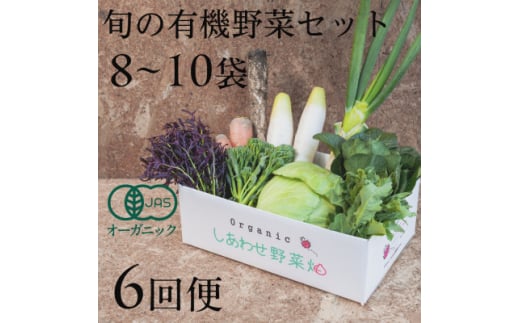 ＜毎月定期便＞しあわせ野菜畑の有機野菜　Mセット　(安心の有機JAS認証　オーガニック野菜)全6回【4066007】