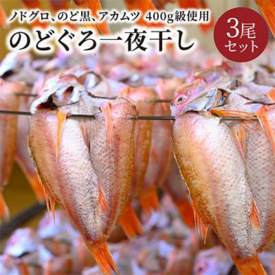 ふるさと納税 京丹後市 のどぐろ一夜干し　(ノドグロ、アカムツ)　400g級使用　干し上がり後　280g以上　3尾セット