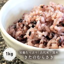 【ふるさと納税】古代米・黒米「きたのむらさき」1kg こめ コメ 米 こくまい くろごめ 黒米 きたのむらさき 古代米 玄米 もち米 先行予約 健康 贈答 贈り物 ギフト プレゼント 北海道 福島町 送料無料 FKE001