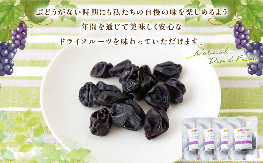中村柿ぶどう園 ナチュラルドライフルーツ (ピオーネ) 約40g×4個