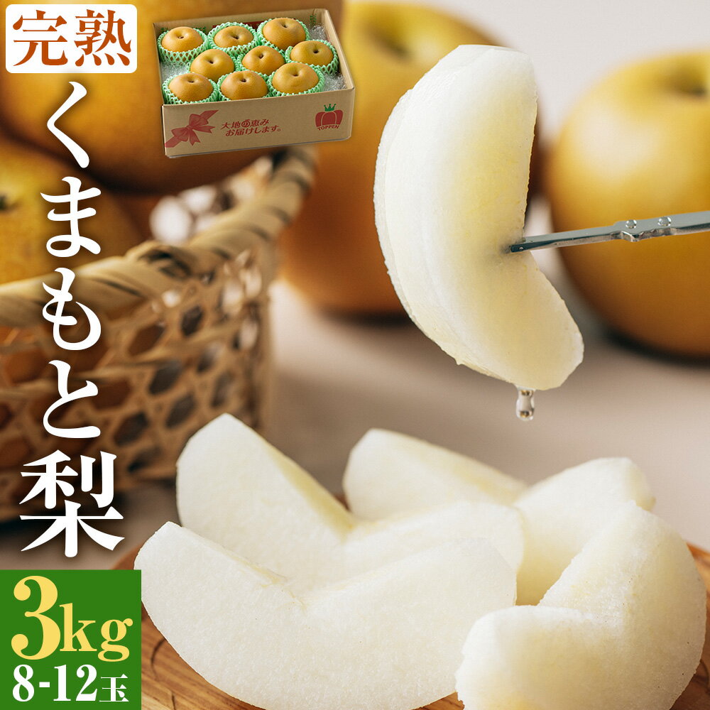 【ふるさと納税】完熟 くまもと梨 3kg 8-12玉（幸水・豊水・秋月の中から旬のものを厳選）なし ナシ 和梨 果物 くだもの 果実 フルーツ 旬 お取り寄せ ギフト 国産 九州 熊本県 冷蔵 送料無料 【2025年8月下旬発送予定】