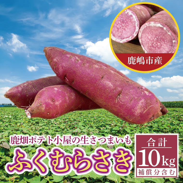 【先行予約】ポテト小屋の生さつまいも ふくむらさき 計 約10kg（８kg+約25％補償分）【鹿嶋市 減農薬 熟成 貯蔵 サツマイモ 紫いも 甘い 10キロ 15000円以内】 (KBR-13)