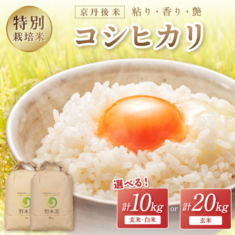 【ふるさと納税】2025年産 京丹後米 特別栽培米コシヒカリ 玄米・白米各5kg 玄米20kg