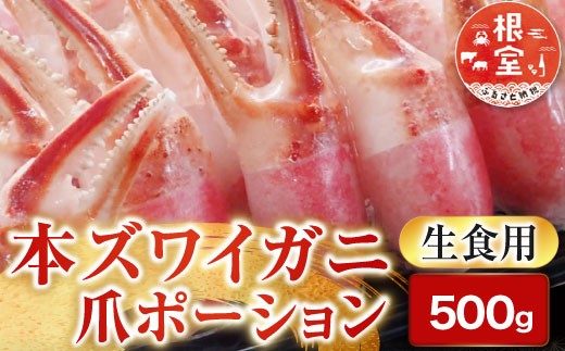 A-14237 生食用本ズワイガニ爪ポーション500g(お刺身・かにしゃぶ・フライ等)