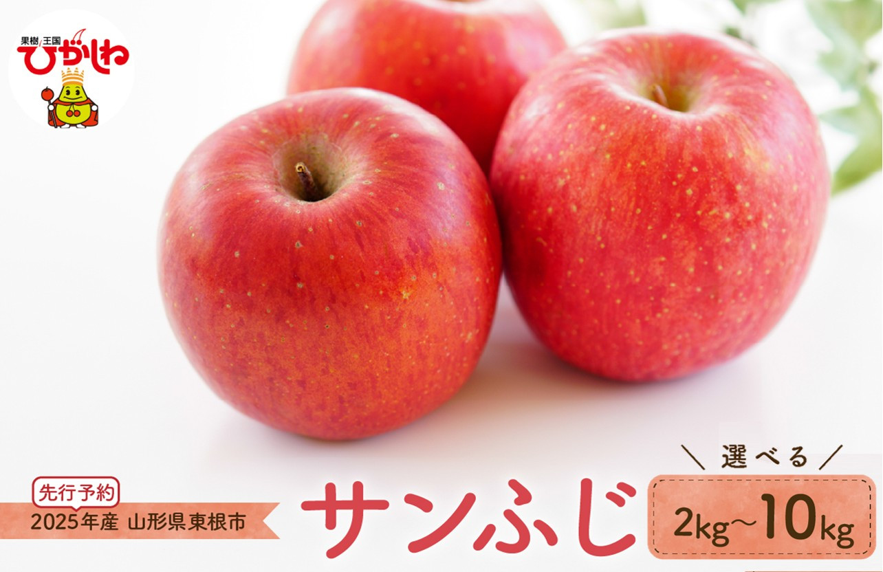
            【2025年産 先行予約】りんご「サンふじ」（選べる内容量：2kg / 3kg / 5kg / 10kg） JA提供 山形県 東根市　hi003-136
          