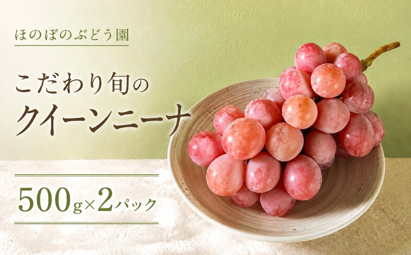 
                  美浜町産 こだわりクイーンニーナ 500g×2 | ぶどう 果物 くだもの フルーツ ふるーつ 濃厚 季節限定 先行予約 旬 人気 おすすめ 愛知県 美浜町
                