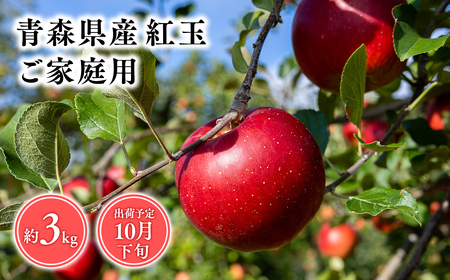 １０月発送　【訳あり】家庭用紅玉3ｋｇ　【そと川りんご園・１０月・青森県産・平川市・りんご・紅玉・3ｋｇ・訳あり・家庭用】