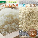 【ふるさと納税】 【 令和6年度産 新米 】 自然栽培米 こしひかり 5kg / 4kg （2kg×2） 白米 / 玄米 ： 選べる 容量 精米方法 お米 コシヒカリ 京都産 舞鶴産 自然栽培 精米 米 農家直送 コメ ご飯 健康 自然 舞鶴市ふるさと納税