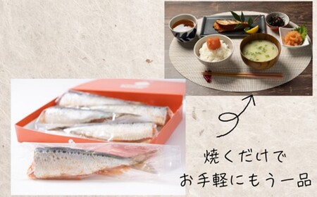 AF094.いわし明太（15尾）【辛子明太子】