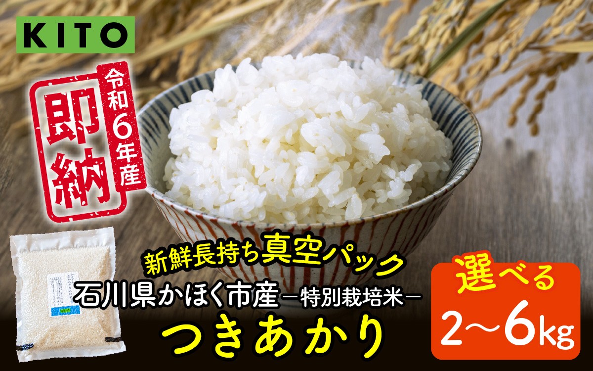 
            【容量が選べる】KITO 令和6年 石川県かほく市産 【特別栽培米】かほく市のお米（つきあかり） 2Kg or 6Kg / 令和6年産 米 単一原料米 国産 こめ コメ 白米 ブランド 食品 常温 ご飯 お取り寄せ 送料無料 即納
          