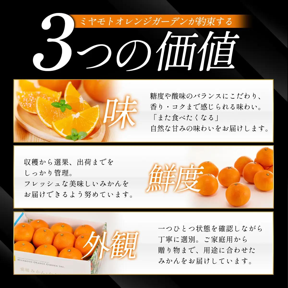 【先行受付】まごころまどんな 4kg 紅まどんなと同品種 愛媛果試28号 愛媛県【D25-370】【1717450】 YWTAP311